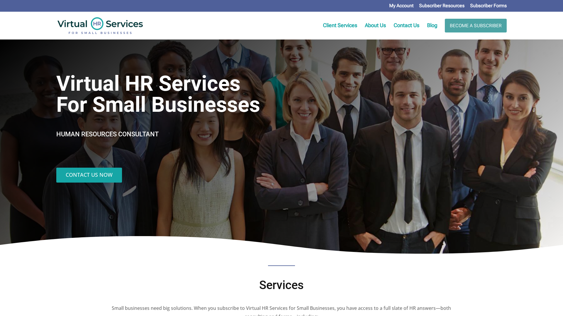 Virtual HR Services for Small Businesses